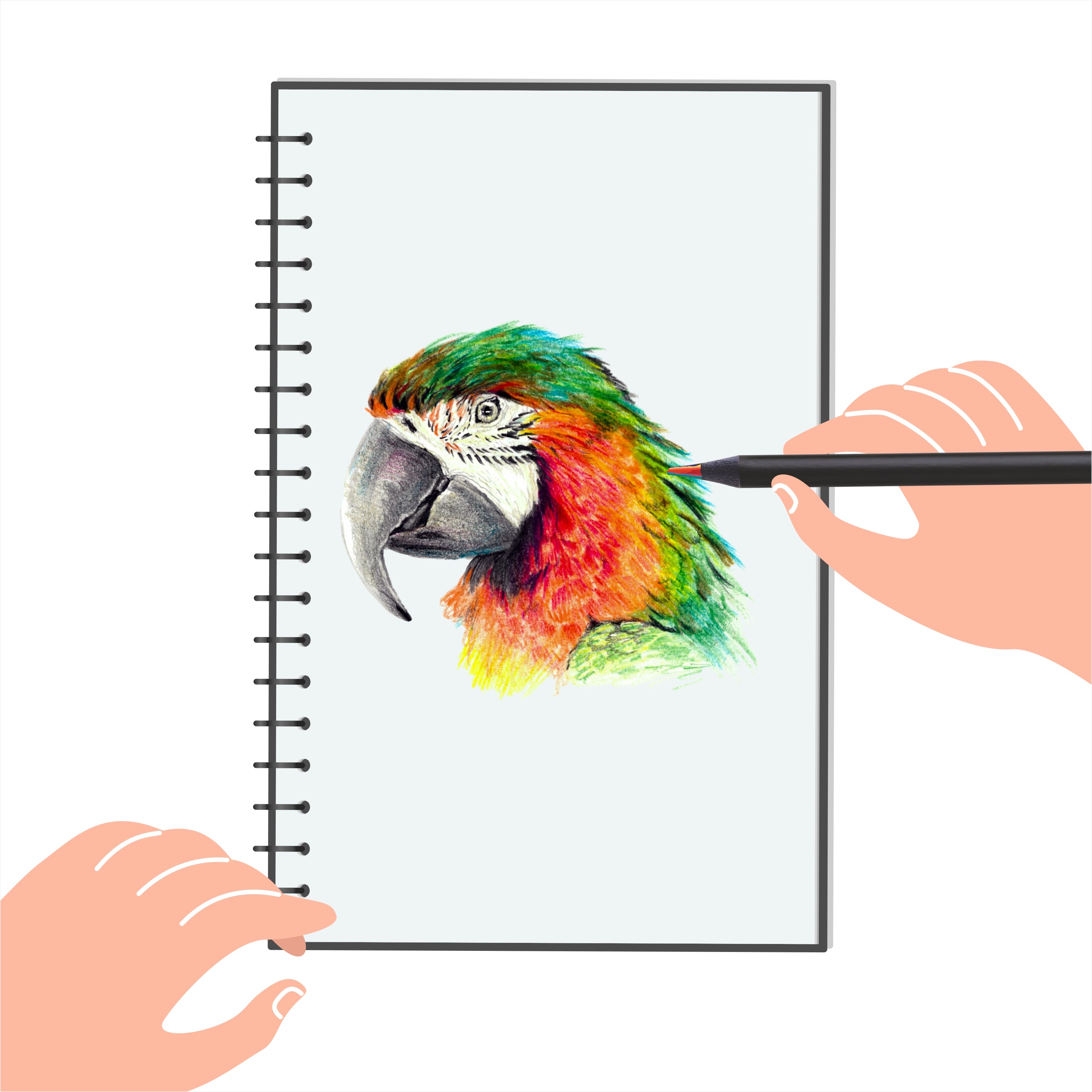 Shape Spectrum Rainbow Pencil 5 pcs Blister - Pack of 5