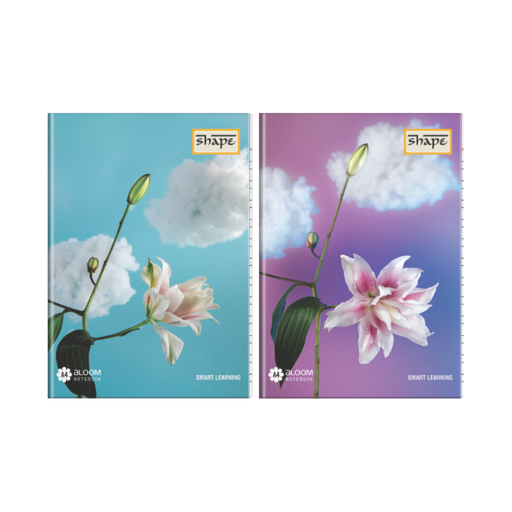 Shape Bloom Notebook - A4 Size, 172 Ruled Pages, Pack of 3